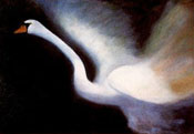 Swan at Dusk