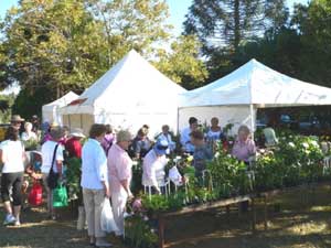 samlesbury hall craft fair