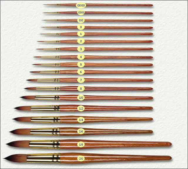 Watercolor Brush Size Chart