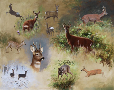Rodger McPhail wildlife commissions