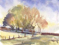 'Trees at Aughton' - Watercolour - 12"x9" Hilary Carr