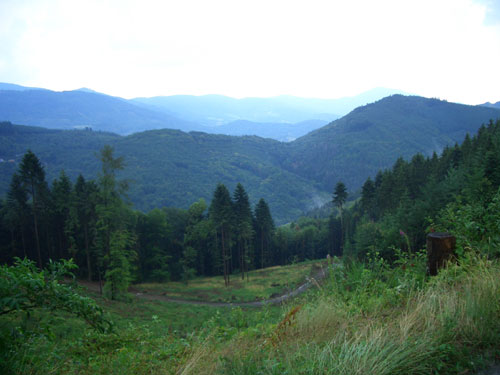 Ardenne  Alsace Regions France Belgium 2006