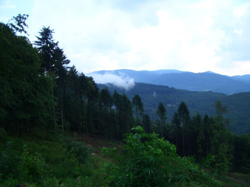 Ardenne  Alsace Regions France Belgium 2006