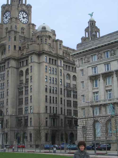 Liver Birds